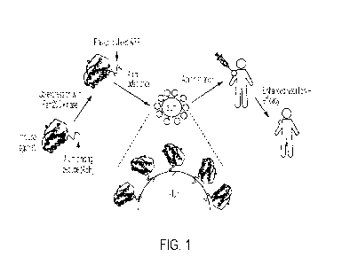 Une figure unique qui représente un dessin illustrant l'invention.